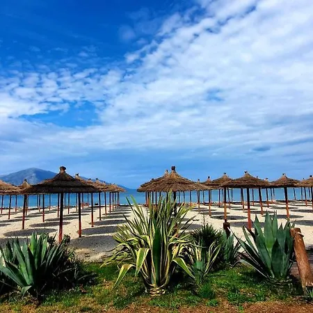 Apartment Foleza -the Nest - In Lungomare